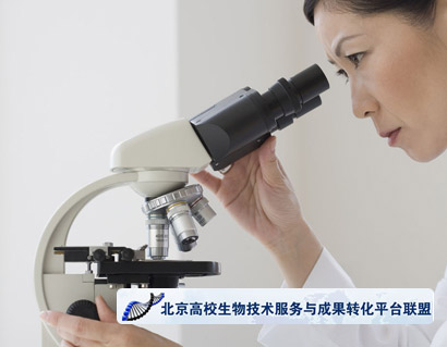 北京高校生物技術(shù)服務與成果轉(zhuǎn)化平臺聯(lián)盟